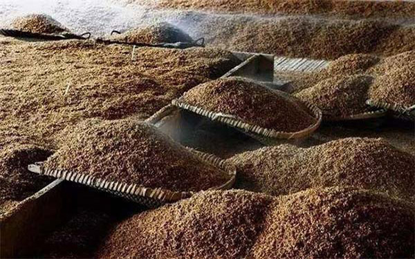 酒渣烘干機(jī)處理前 酒渣烘干機(jī)處理前